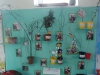 Early Years Knowledge and Understanding of the World display